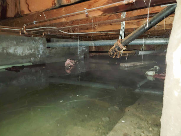 Best Commercial water damage restoration  in Grandwood Park, IL