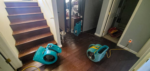 Best Flooded house restoration  in Grandwood Park, IL