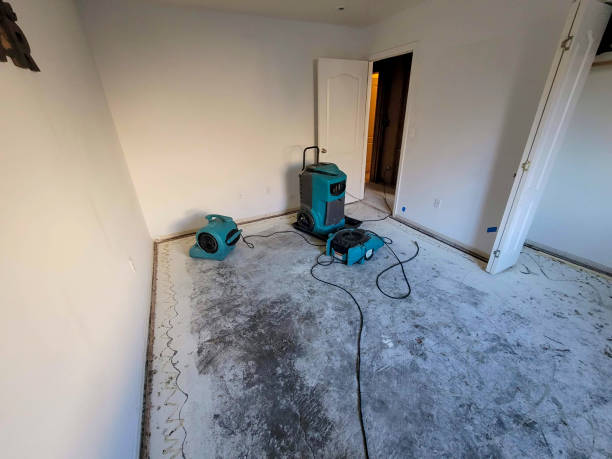 Best Flood restoration services  in Grandwood Park, IL
