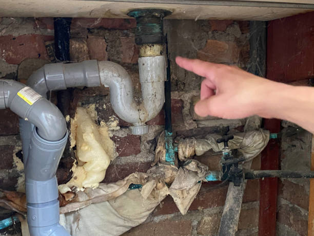 Best Water damage restoration near me  in Grandwood Park, IL